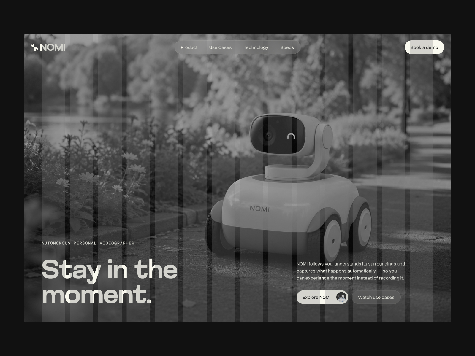 Nomi project visual 5